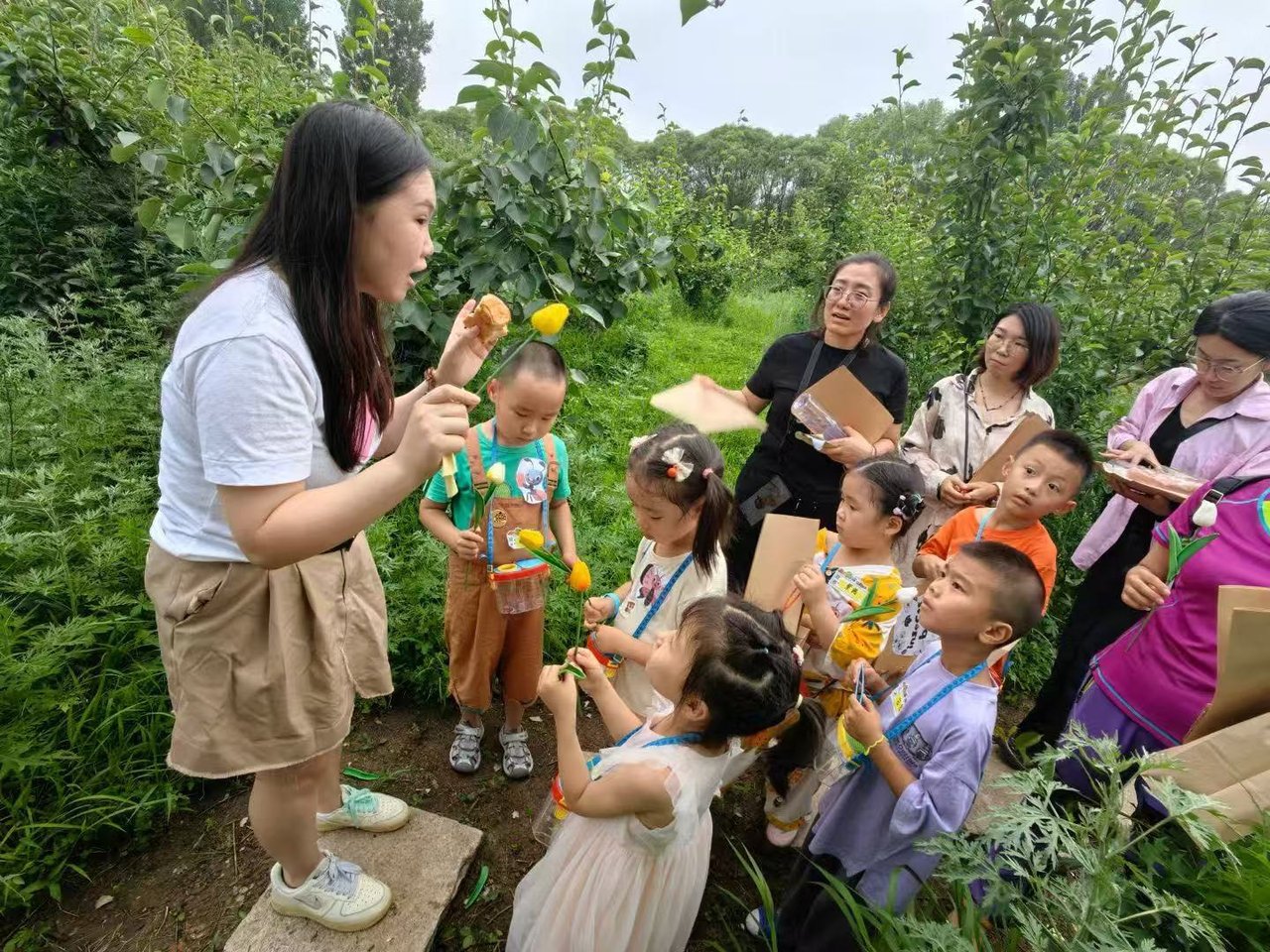 林地实景 · 手工教具教学
