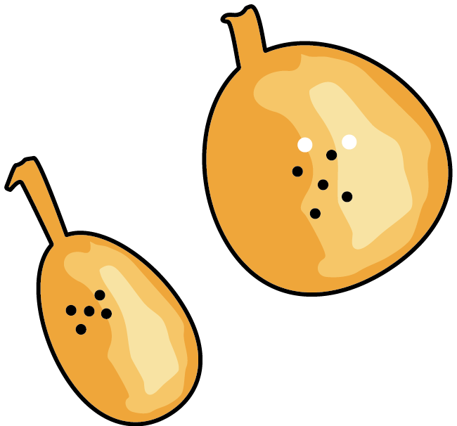 选项C